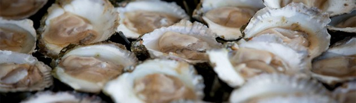 Meerdere oesters
