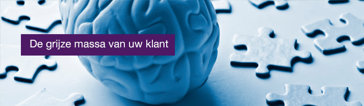 Hersenen met puzzelstukjes weerspiegeld de grijze massa van uw klant
