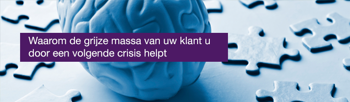 Hersenen met puzzelstukjes weerspiegeld de grijze massa van uw klant