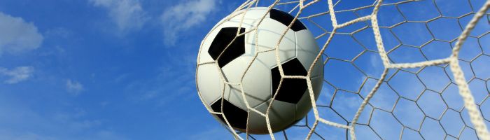 Bal in het net