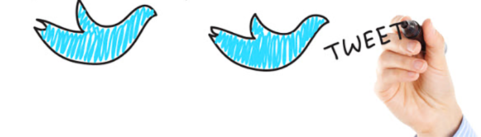 Twitter logo geschreven met pen