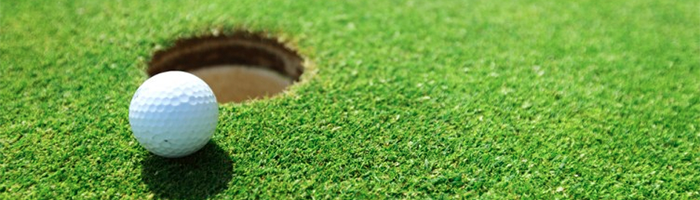 Golfbal en hole staat voor de putt om het kampioenschap